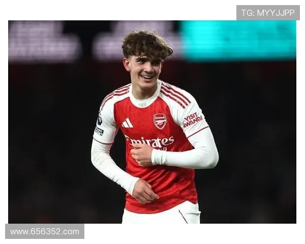 费迪南德力挺道曼冲击世界杯 费迪南德力挺道曼冲击世界杯